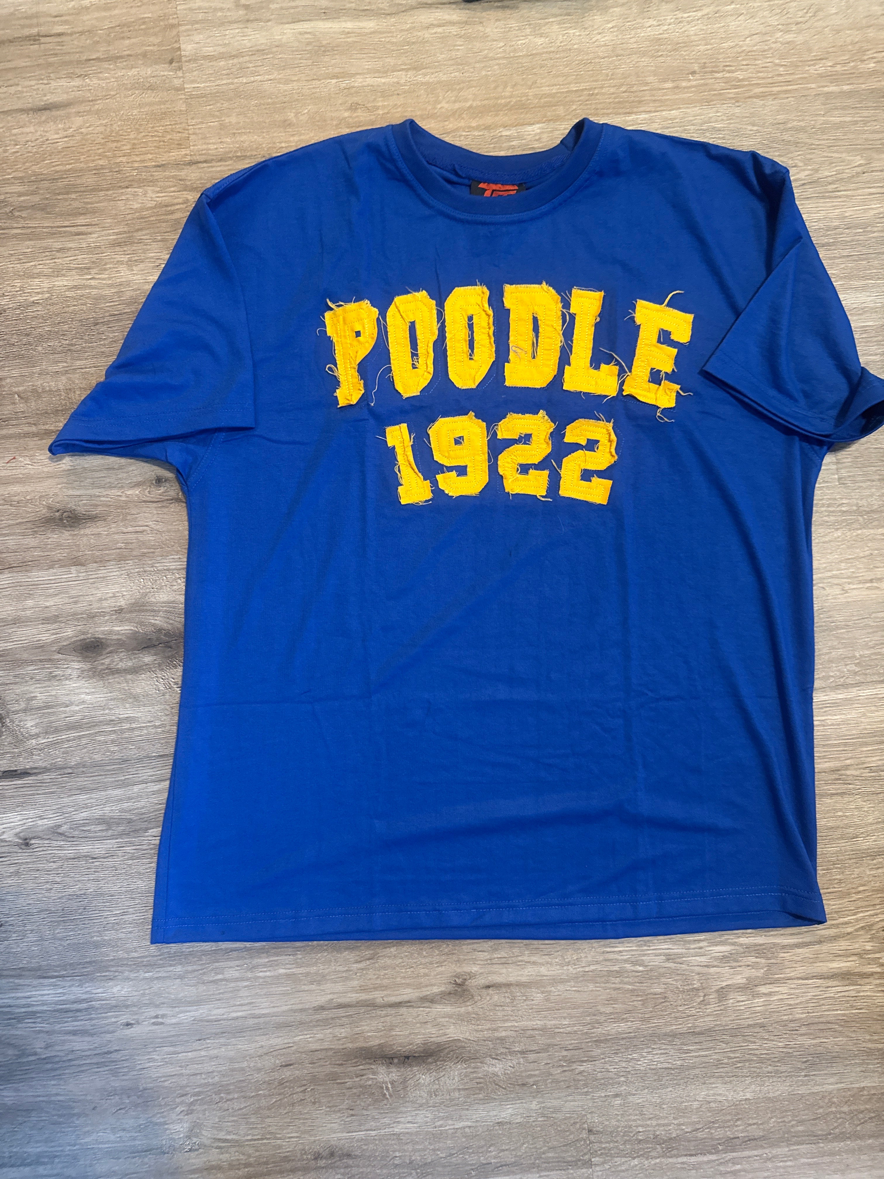 Sigma Gamma Rho Distressed Tee