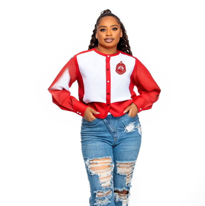 Delta Sigma Theta 5" Crest Iron on Patch
